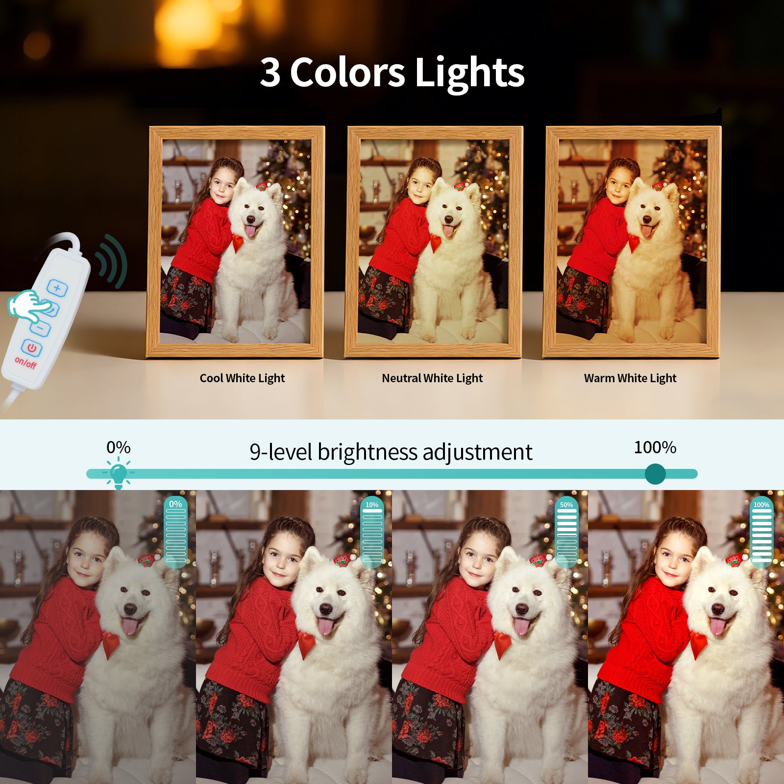 Wholesale A5 or A4 Night Light Photo Frames Panels with Sublimation Glass Sheets with Wooden Frame 3 Light Modes for Tabletop Display Home Decor 2 Pack